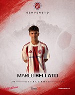 Bellato Bellato